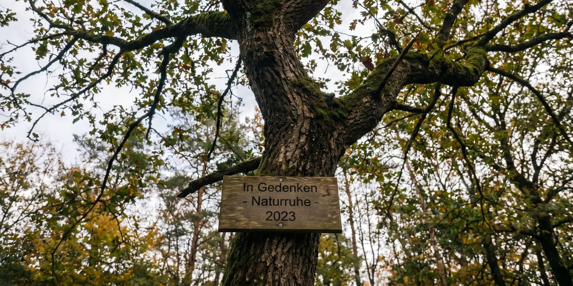 Baumbestattung Stuttgart
